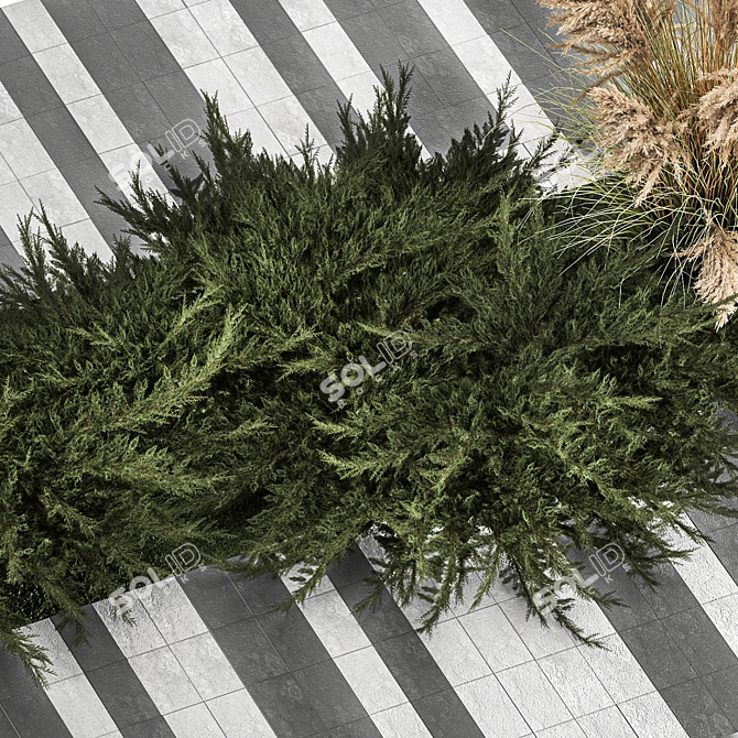 Урбанистический Набор Городской Зелени 3D model image 6