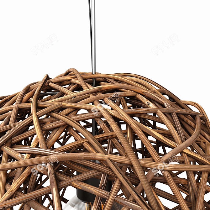 Modern Wicker Lamp with Textures 3D model image 4