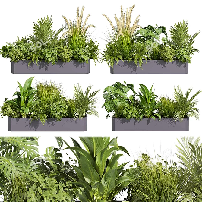 Premium Plant Collection: Ampelous Palm Grass 3D model image 1