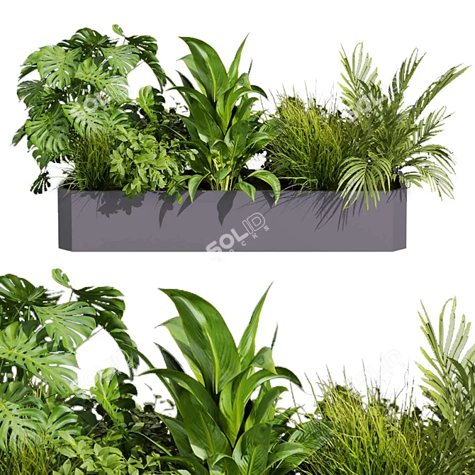 Premium Plant Collection: Ampelous Palm Grass 3D model image 2