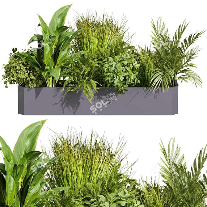 Premium Plant Collection: Ampelous Palm Grass 3D model image 3