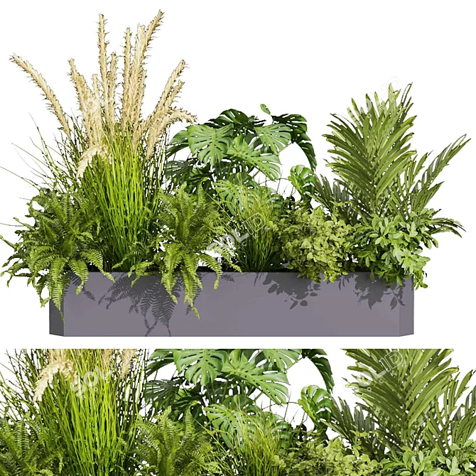 Premium Plant Collection: Ampelous Palm Grass 3D model image 4