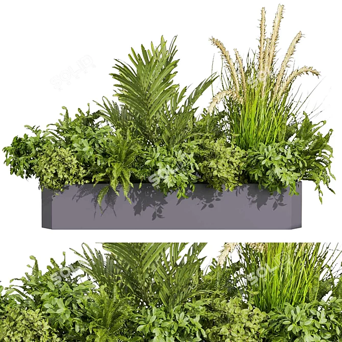 Premium Plant Collection: Ampelous Palm Grass 3D model image 5