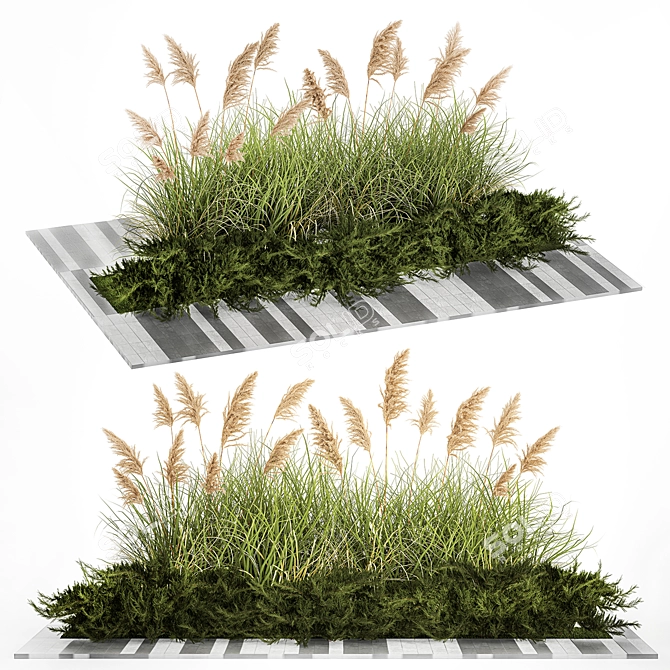 Urban Greenscape Plant Collection 3D model image 1