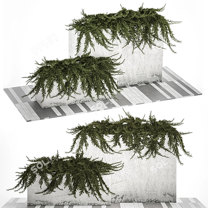 Urban Oasis Planter Collection 3D model image 1