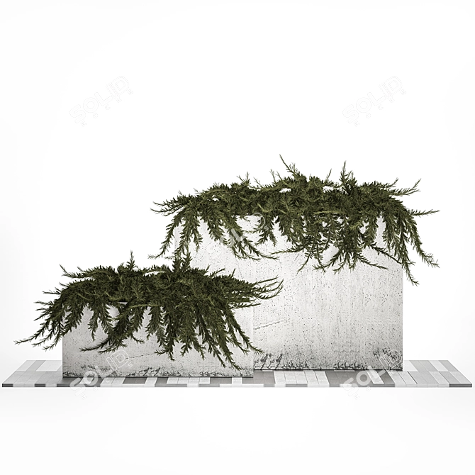 Urban Oasis Planter Collection 3D model image 2