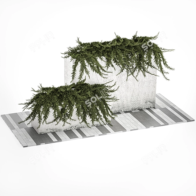 Urban Oasis Planter Collection 3D model image 6