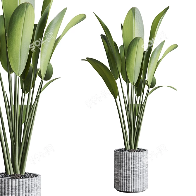 Marble Dirt Vase Plant Holder 3D model image 1