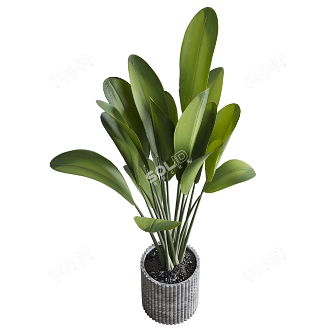 Marble Dirt Vase Plant Holder 3D model image 3