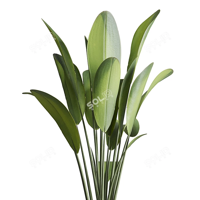 Marble Dirt Vase Plant Holder 3D model image 5