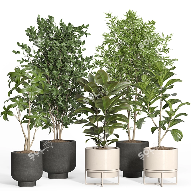 Modern Indoor Plant Set - Concrete & Metal 3D model image 1