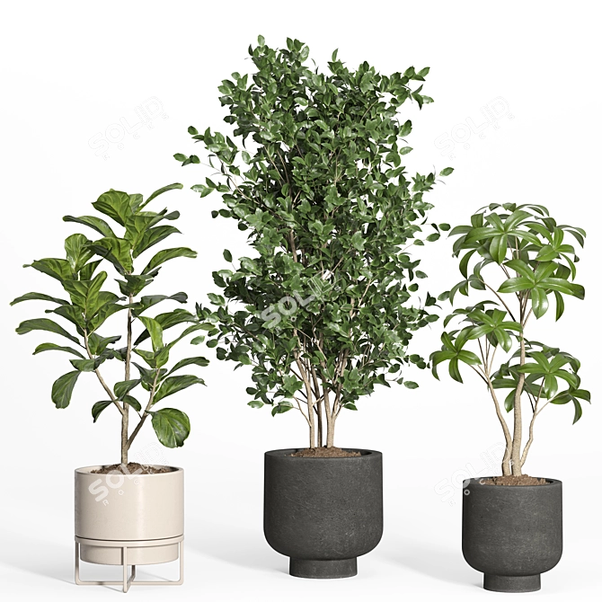 Modern Indoor Plant Set - Concrete & Metal 3D model image 2