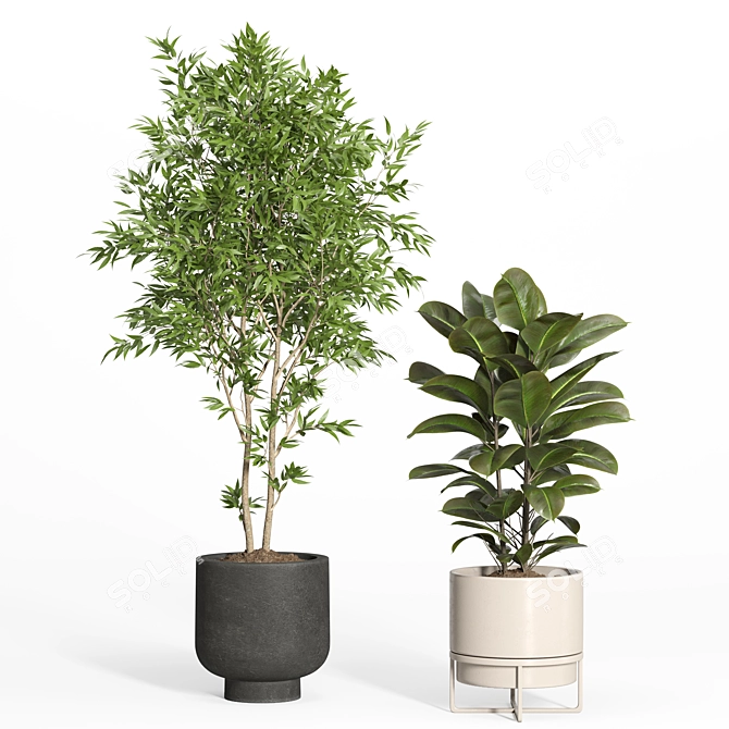 Modern Indoor Plant Set - Concrete & Metal 3D model image 3