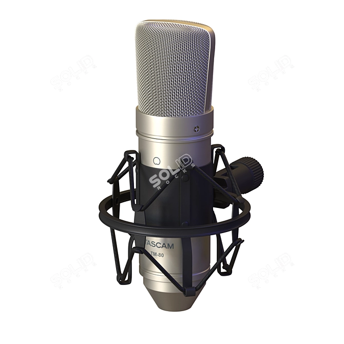 Tascam TM-80 Studio Condenser Microphone 3D model image 1