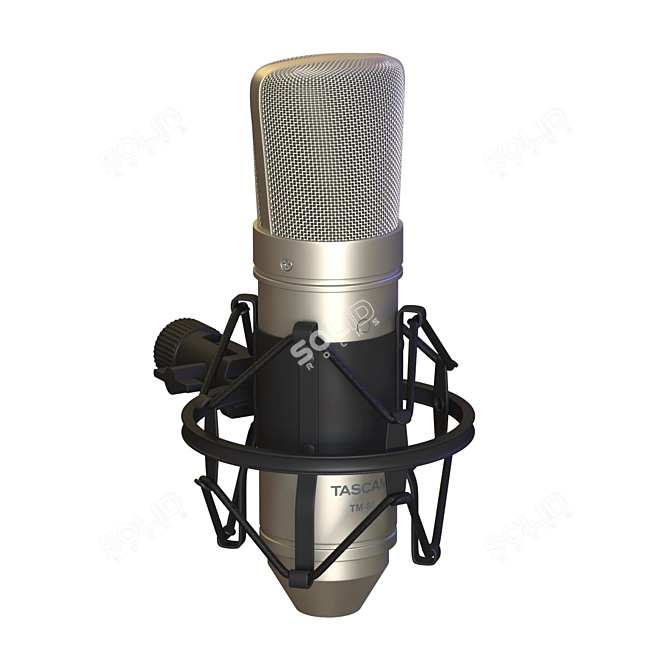 Tascam TM-80 Studio Condenser Microphone 3D model image 3