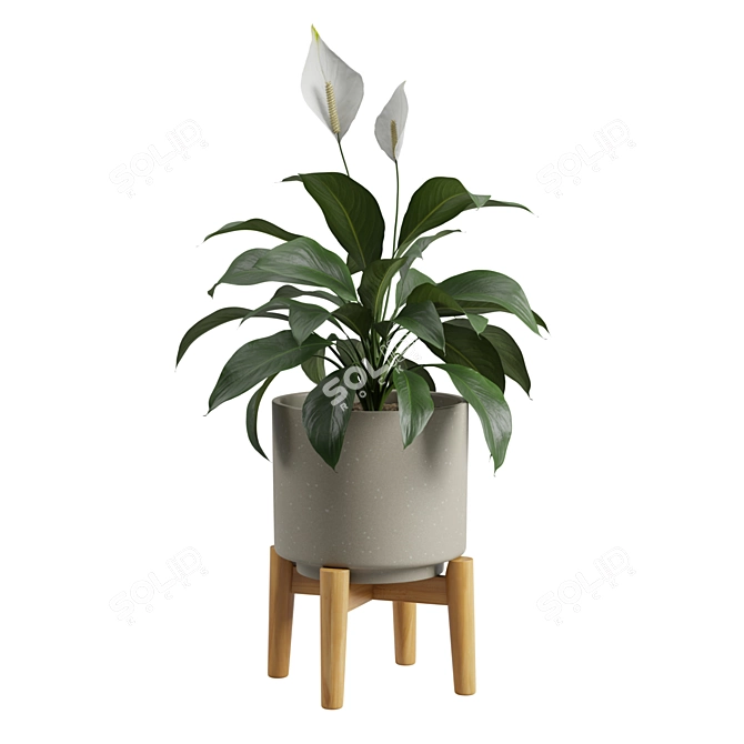 Tropical Peace Lily Potted Green 3D model image 1