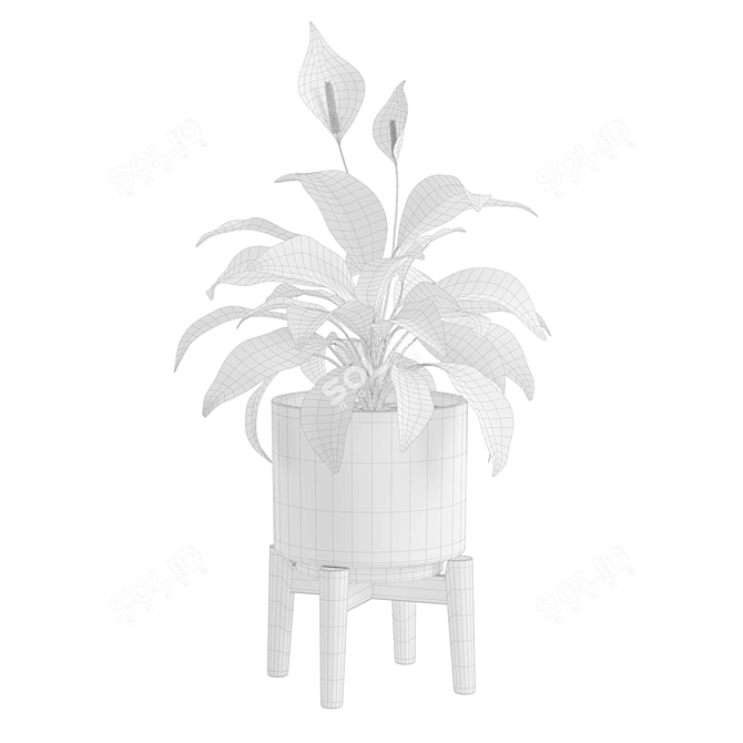 Tropical Peace Lily Potted Green 3D model image 3