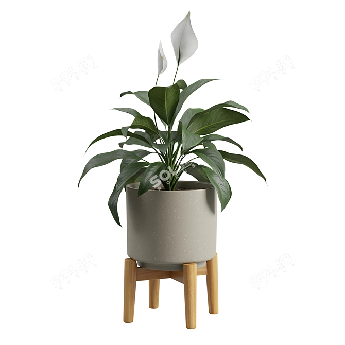 Tropical Peace Lily Potted Green 3D model image 5