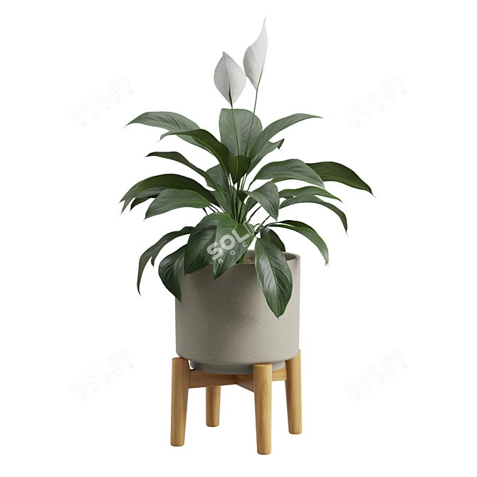 Tropical Peace Lily Potted Green 3D model image 6