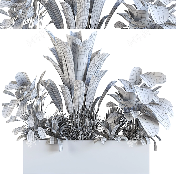 Diverse Indoor/Outdoor Plant Collection 3D model image 5