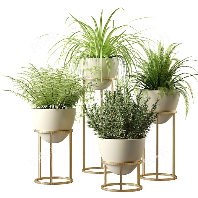 Egg-shaped Indoor Plants Display 3D model image 1