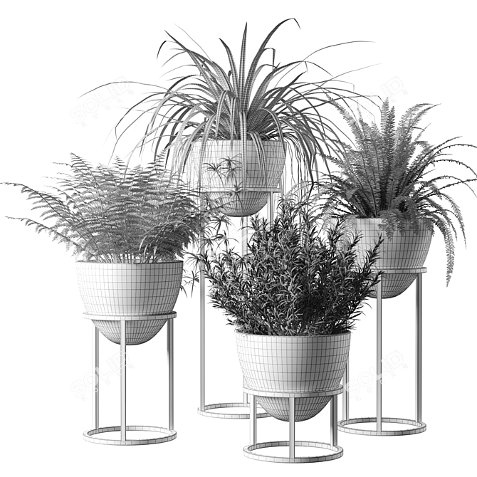 Egg-shaped Indoor Plants Display 3D model image 2