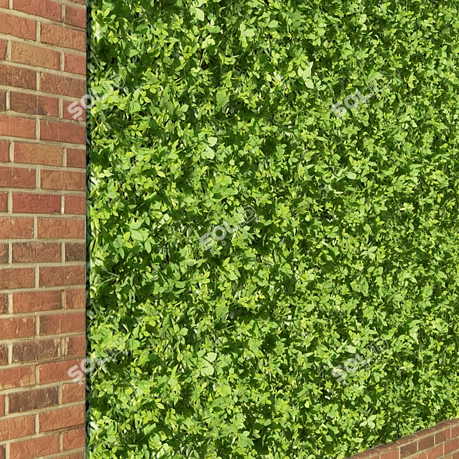 3D Green Wall with Hedge 3D model image 2