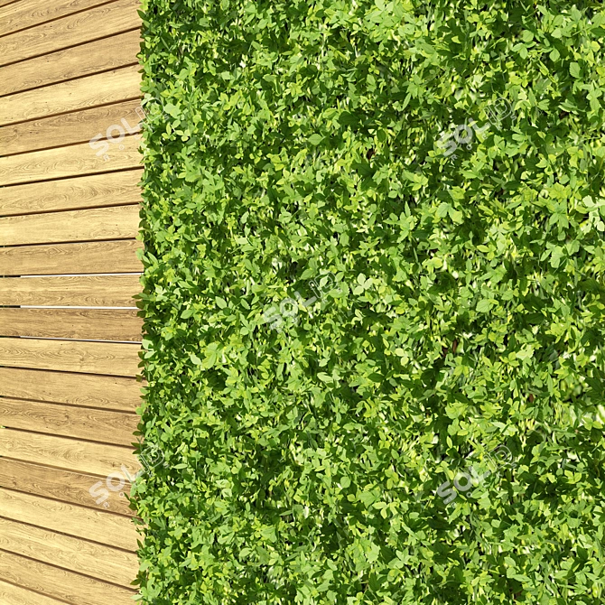 3D Green Wall with Hedge 3D model image 3