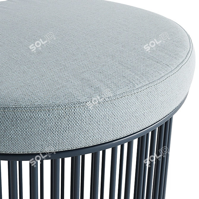 Flexform Berry Pouf, Versatile Design 3D model image 3