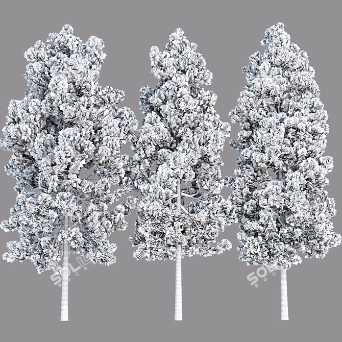  PBR Pine Trees Collection Vol.178 3D model image 5