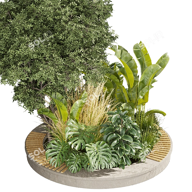 Premium Outdoor Garden Plant Collection 3D model image 2