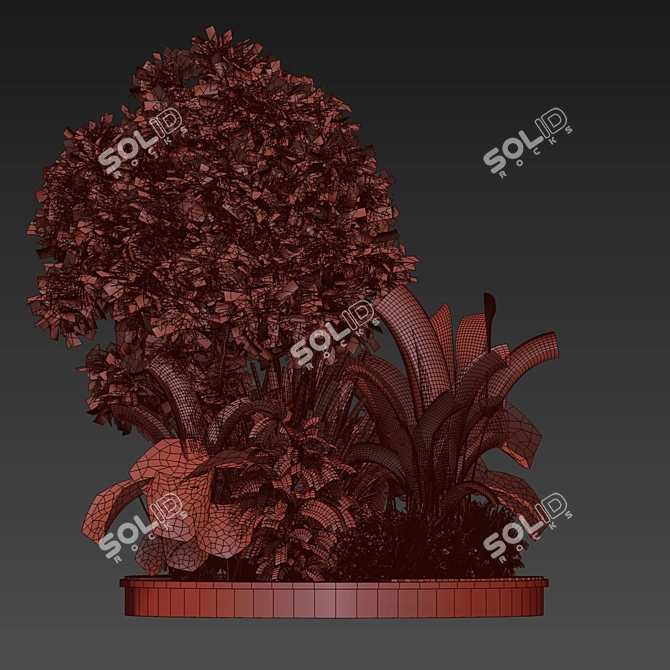 Premium Outdoor Garden Plant Collection 3D model image 7