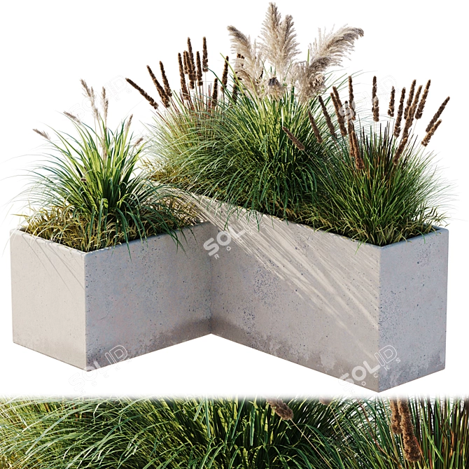 10 Piece Outdoor Plant Set 3D model image 1