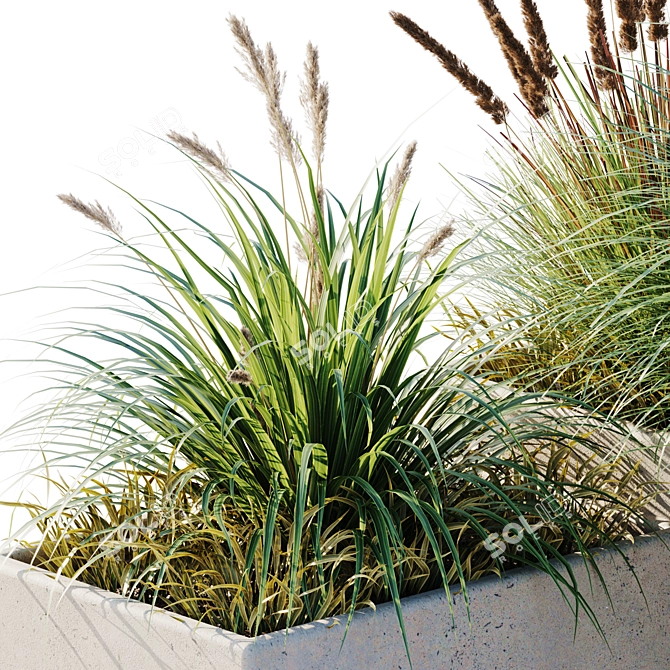 10 Piece Outdoor Plant Set 3D model image 2