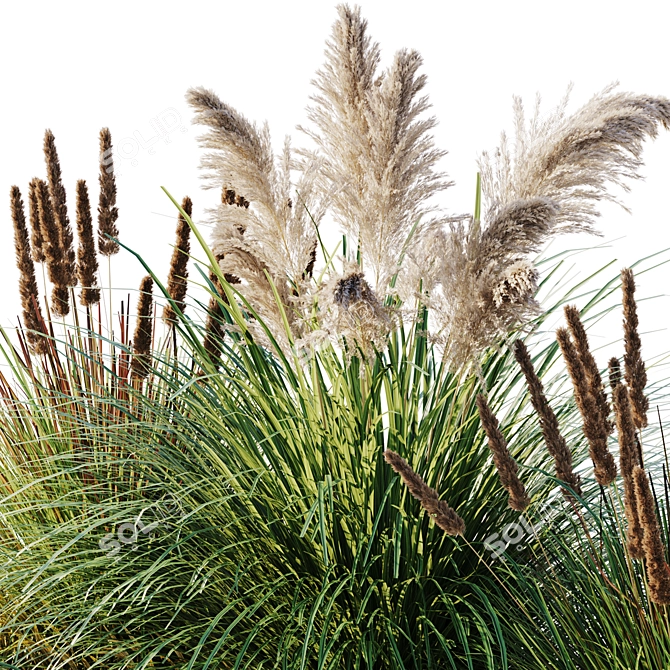 10 Piece Outdoor Plant Set 3D model image 3