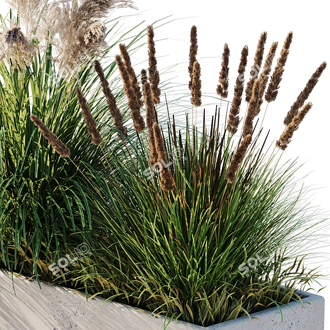 10 Piece Outdoor Plant Set 3D model image 4