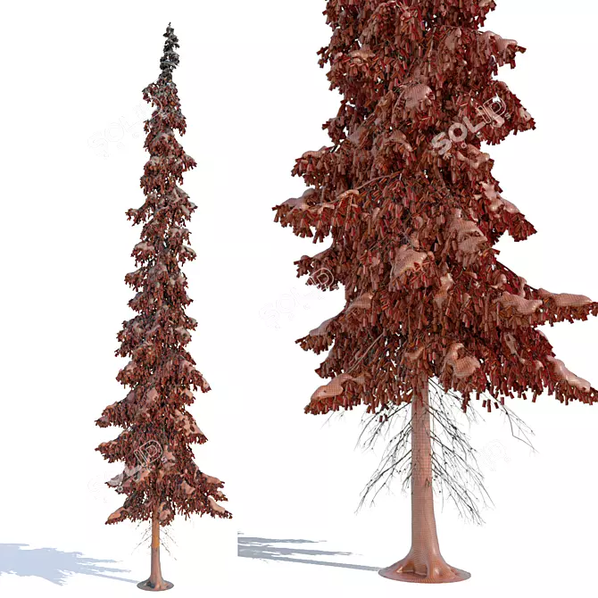 Winter Taiga Spruce (20m) 3D model image 4