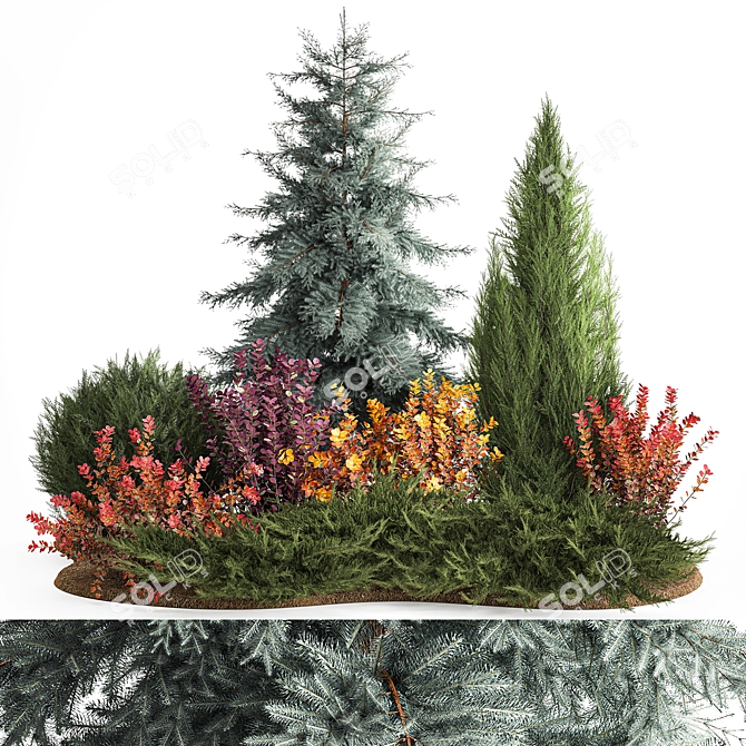 Alpine Collection Blue Spruce with Berberis 3D model image 1