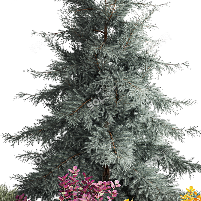 Alpine Collection Blue Spruce with Berberis 3D model image 4