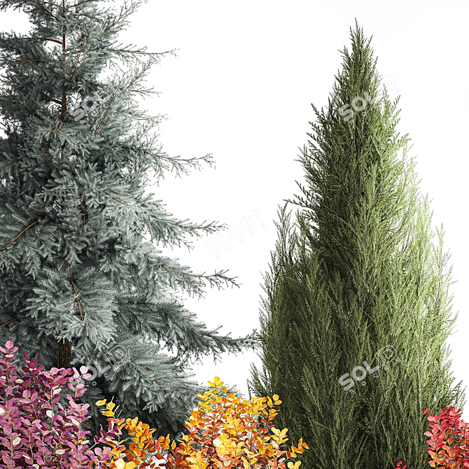 Alpine Collection Blue Spruce with Berberis 3D model image 5