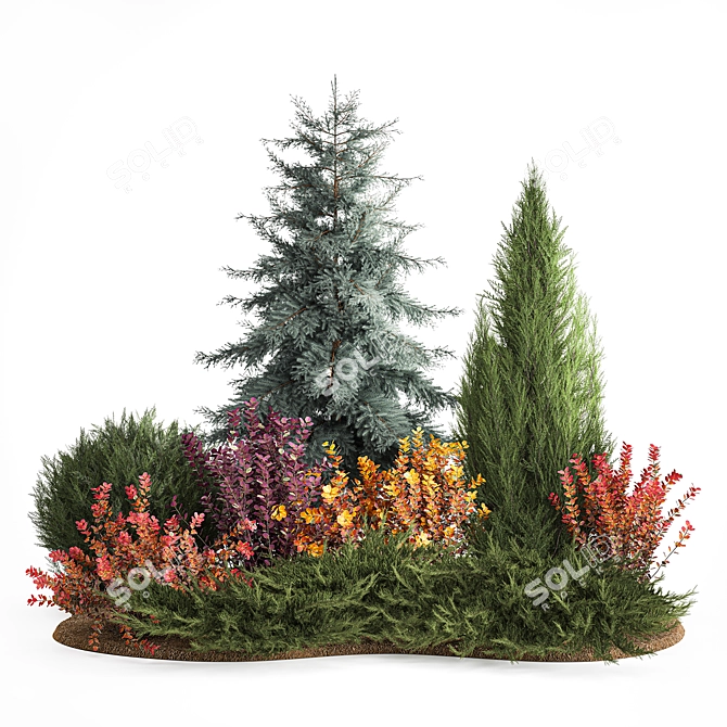 Alpine Collection Blue Spruce with Berberis 3D model image 6