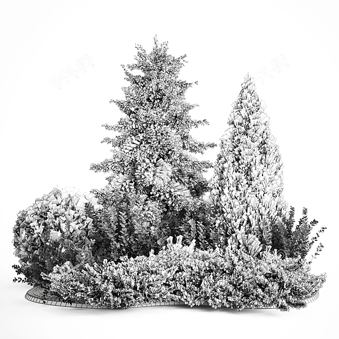 Alpine Collection Blue Spruce with Berberis 3D model image 7