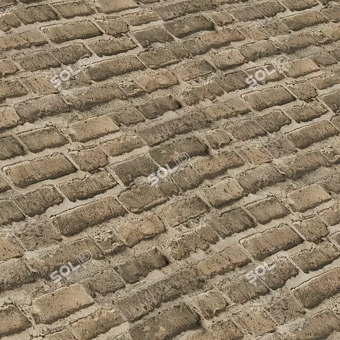 Stone Façade Coverings Texture Set 3D model image 3