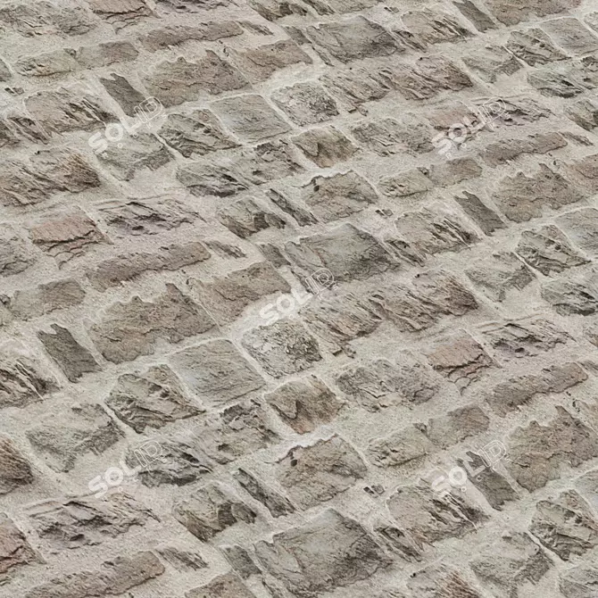 Stone Façade Coverings Texture Set 3D model image 7