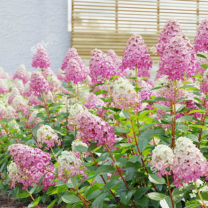 Pink Hydrangea Set for 3D 3D model image 3