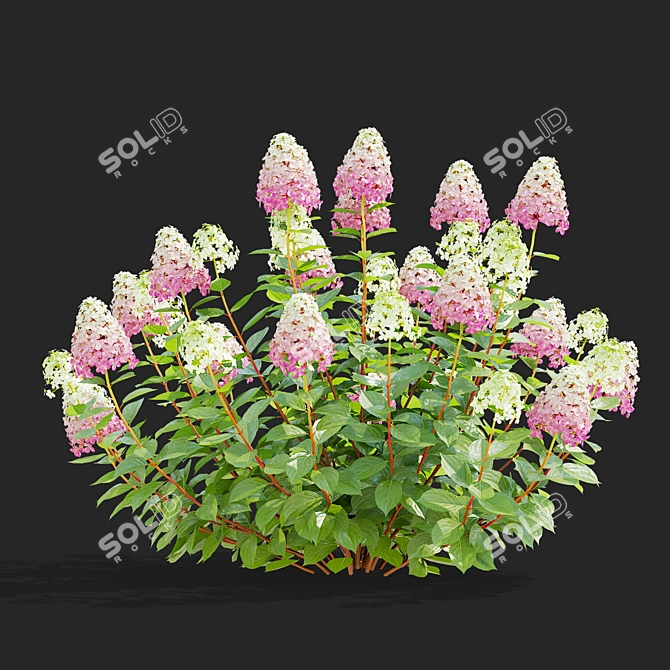 Pink Hydrangea Set for 3D 3D model image 7
