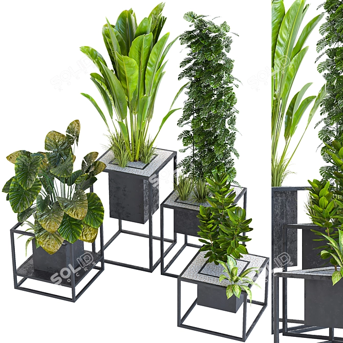 Variety Indoor/Outdoor Plant Collection 3D model image 1