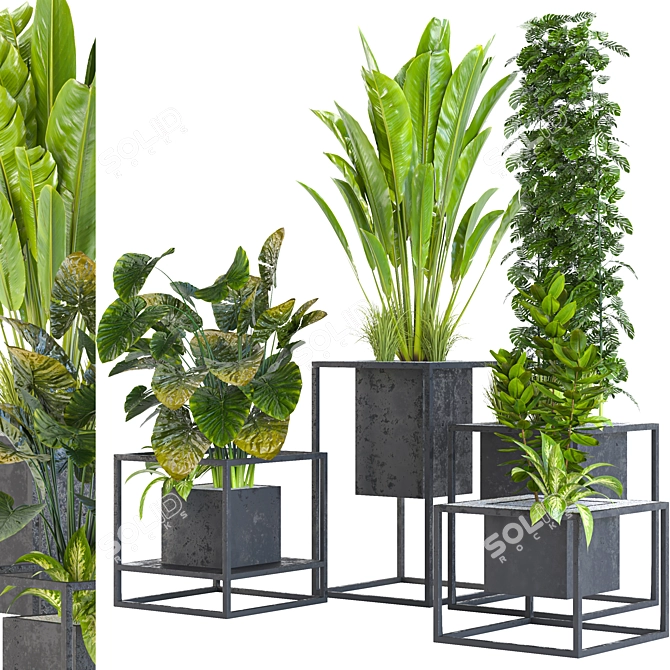 Variety Indoor/Outdoor Plant Collection 3D model image 4