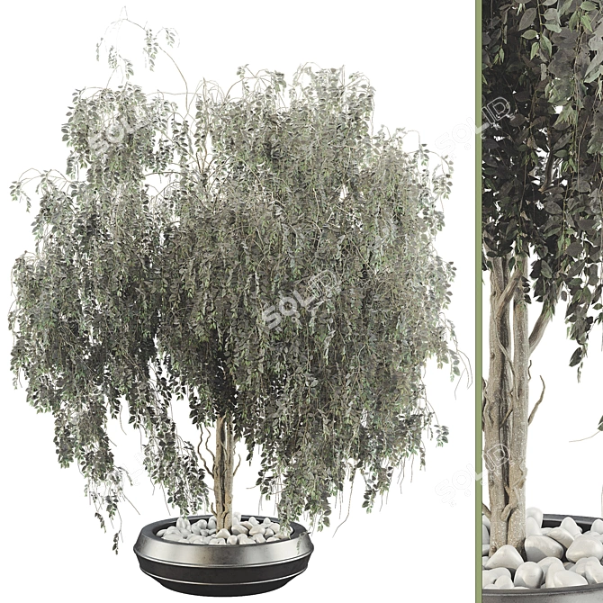 Plant Collection Bundle with Trees 3D model image 1