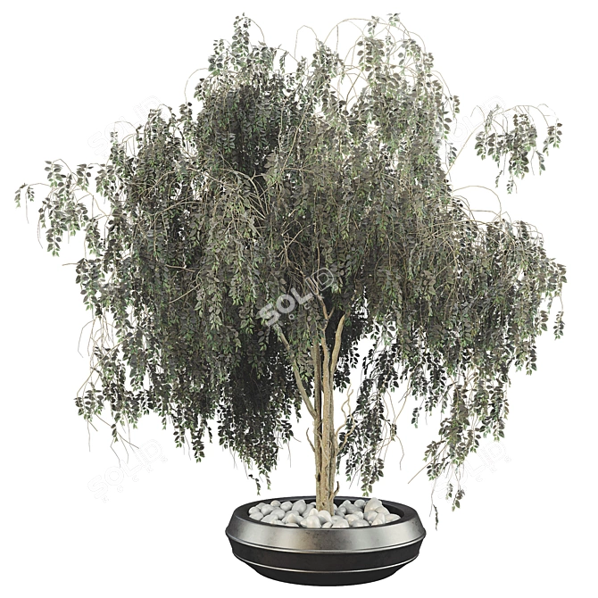 Plant Collection Bundle with Trees 3D model image 2